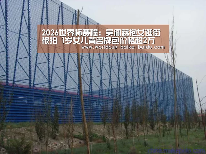 2026世界杯赛程:吴佩慈抱女逛街被拍 1岁女儿背名牌包价格超2万