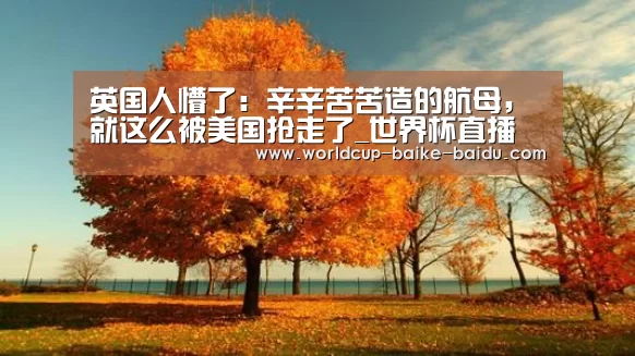 英国人懵了:辛辛苦苦造的航母,就这么被美国抢走了_世界杯直播