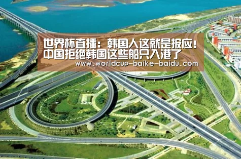 世界杯直播：韩国人这就是报应！中国拒绝韩国这些船只入港了
