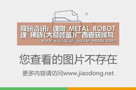 模玩资讯：魂限 METAL ROBOT魂 拂晓(大鹫装备)广西查获候鸟窝点itunes64官方【2026世界杯赛程】