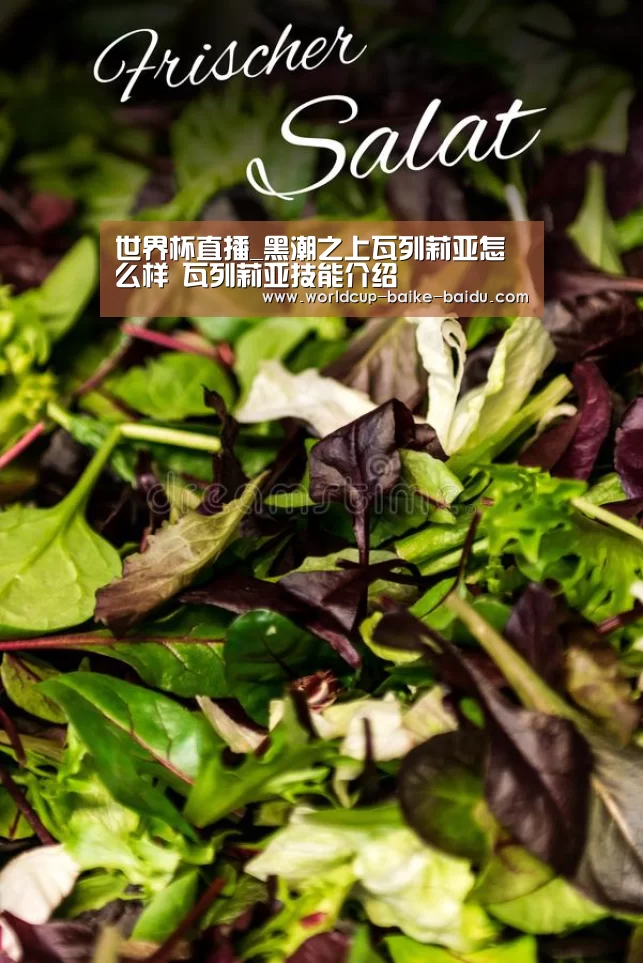 世界杯直播_黑潮之上瓦列莉亚怎么样 瓦列莉亚技能介绍