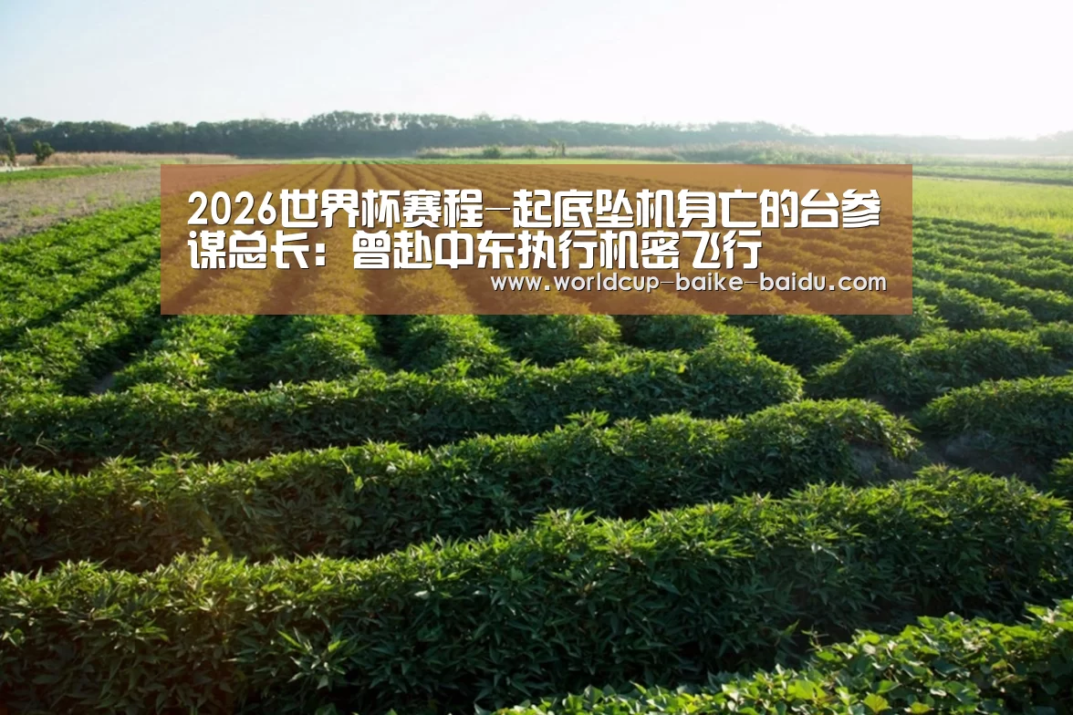 2026世界杯赛程