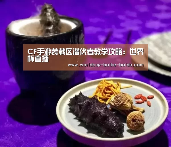 CF手游装载区潜伏者教学攻略:世界杯直播(图2) 世界杯直播